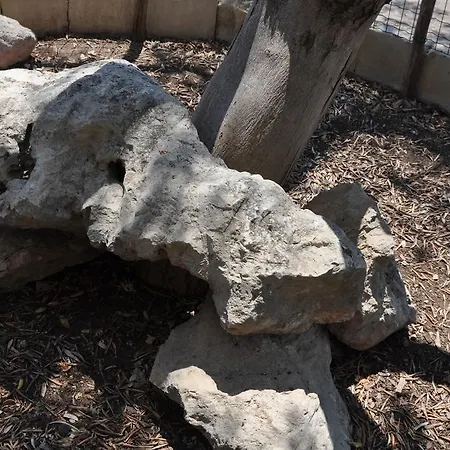 Giardini Di Marzo فندق مبيت وإفطار ليتشي