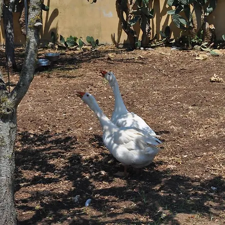 Giardini Di Marzo