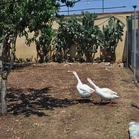 فندق مبيت وإفطار Giardini Di Marzo ليتشي